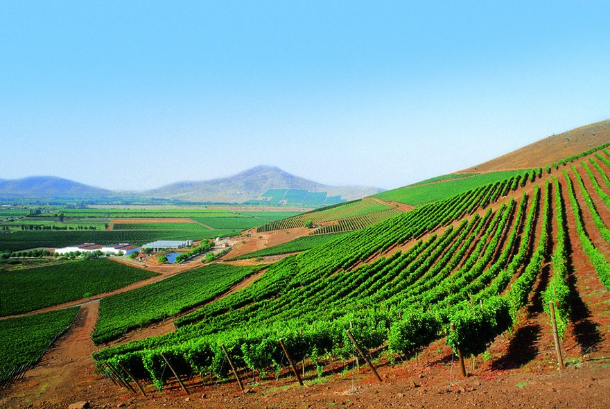 Viña Concha y Toro, Valle del Limarí